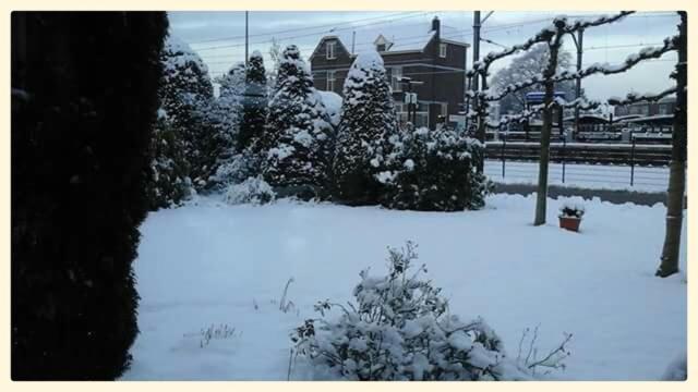 B&B De Vlinder ฮาร์เดนแบร์ก ภายนอก รูปภาพ